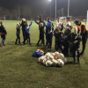 Laatste training JO8, JO9 en JO10